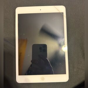 iPad mini 2